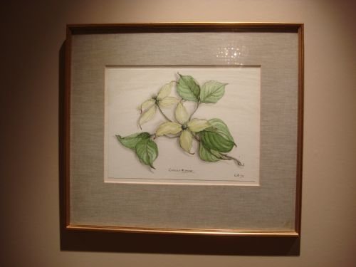 20th c original botanical watercolour painting signed and in gilt frame
