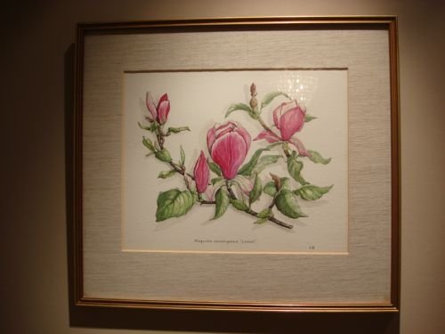 20thc original botanical watercolour painting signed and framed in a gilt frame