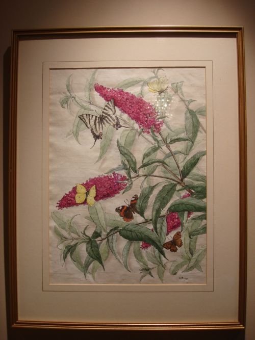 20thc original watercolour painting of budlea and butterflies signed and dated and mounted in gilt frame