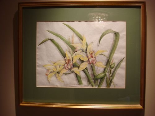 20thc original botanical watercolour painting signed dated and framed